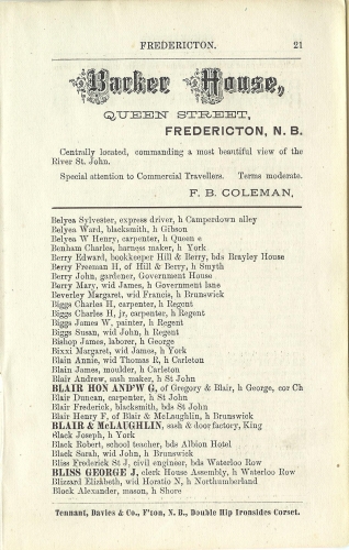 Page 21 of the McAlpine's York and Carleton Counties Directory for 1884-85