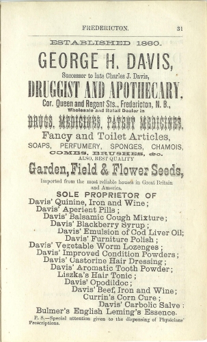 Page 31 of the McAlpine's York and Carleton Counties Directory for 1884-85