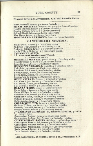 Page 91 of the McAlpine's York and Carleton Counties Directory for 1884-85