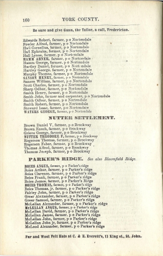 Page 160 of the McAlpine's York and Carleton Counties Directory for 1884-85