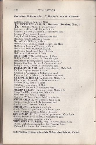 Page 238 of the McAlpine's York and Carleton Counties Directory for 1884-85