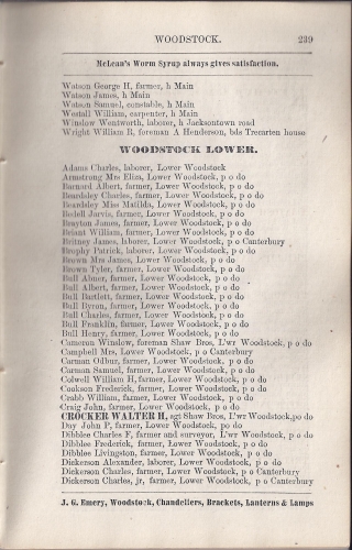 Page 239 of the McAlpine's York and Carleton Counties Directory for 1884-85