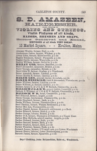 Page 249 of the McAlpine's York and Carleton Counties Directory for 1884-85