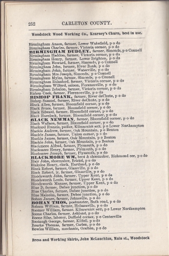 Page 252 of the McAlpine's York and Carleton Counties Directory for 1884-85